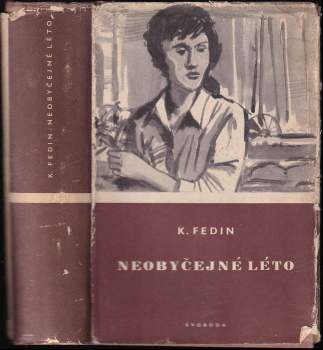Neobyčejné léto