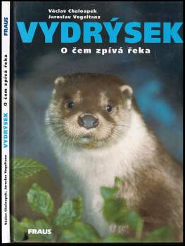 Vydrýsek