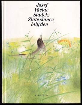 Zlaté slunce, bílý den